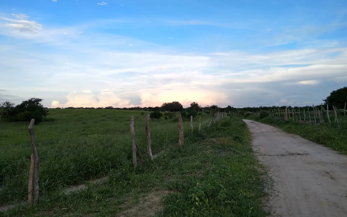 Estrada de terra cercada por pastagem na Bahia.
